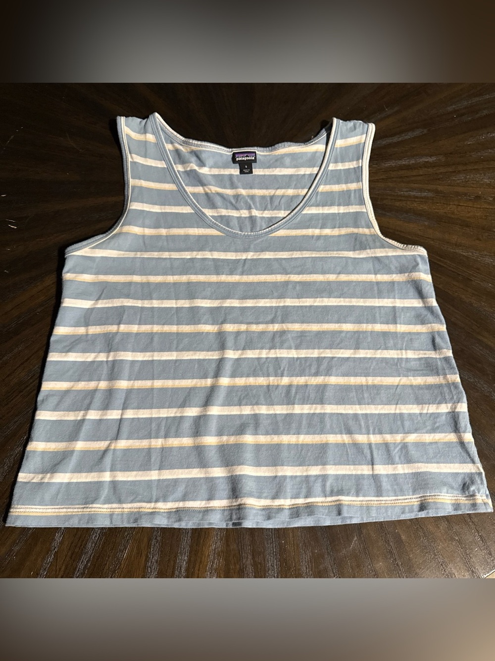 Patagonia Light Blue and White Striped Tee